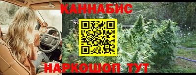прущие крисы Пугачёв
