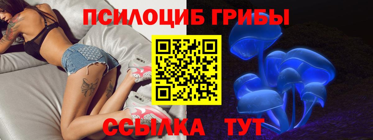 Реутов  Галлюциногенные грибы ЛСД  Вход с VPN  купить наркотики сайты  Псилоцибиновые грибы MAGIC MUSHROOMS 